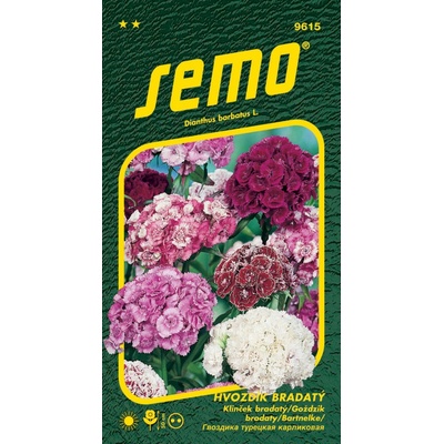 Semo Hvozdík bradatý plnokvětý - směs barev 0,5 g