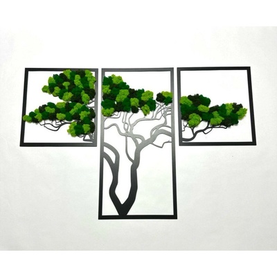 Machový obraz - strom TRIO Veľkosť rámu: 110cm x 69cm