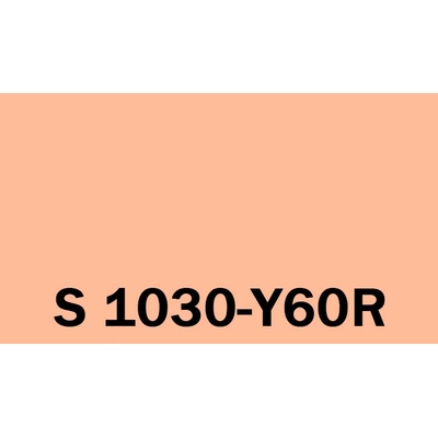 Het Soldecol Unicoat SM 2,5L NCS S 1030-Y60R