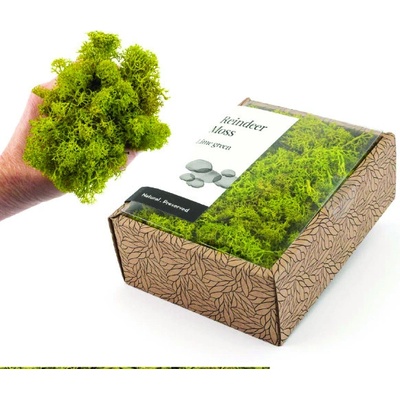 KreaBox - Limetkovo zelený lišajník