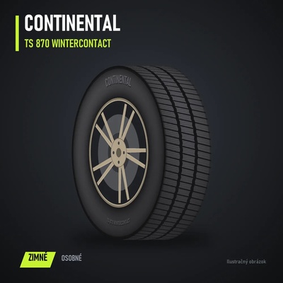 Continental WinterContact TS 870 195/45 R17 81H