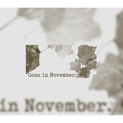 Gone In November (Collector's Edition)
