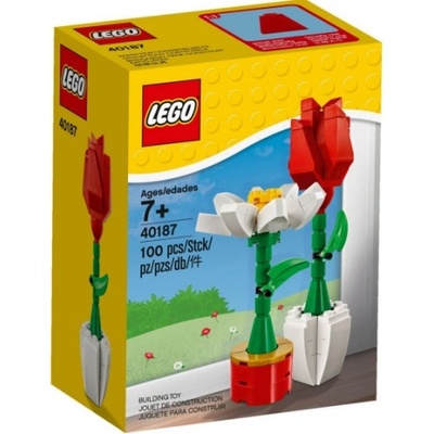 LEGO® 40187 Kvetinová výstava