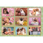 Clementoni - Puzzle Puppies Collage - 180 piese
