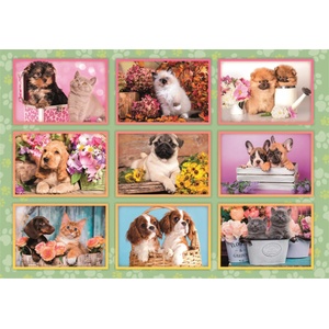 Clementoni - Puzzle Puppies Collage - 180 piese