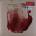 William Butler - Generations LP