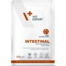 Vet Expert VD Cat Intestinal 100 g