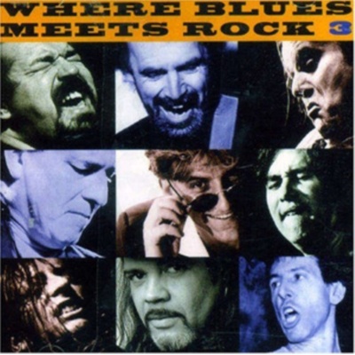 Various - WHERE BLUES MEETS ROCK 3 CD