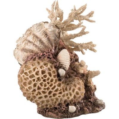 BiOrb Coral-Shells Ornament natural 22 cm
