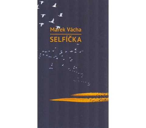 Selfíčka