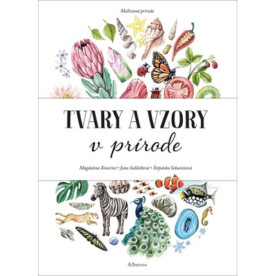 Maľovaná príroda. Tvary a vzory v prírode - Magdalena Konečná, Jana Sedláčková, Štěpánka Sekaninová
