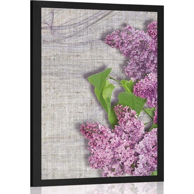 Plakát květiny šeříku na plátně - 30x45 white