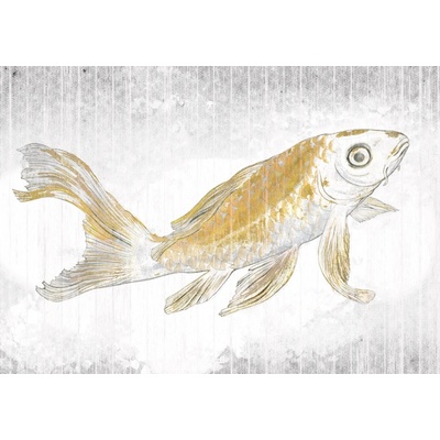 Komar Vliesová fototapeta Golden Koi rozměry 400 x 280 cm