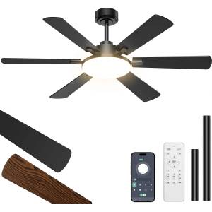ROTTOGOON Ceiling Fan with Lighting 132cm, Double-Sided Blades - NJ004 (NJ004)