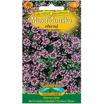 Mateřídouška obecná