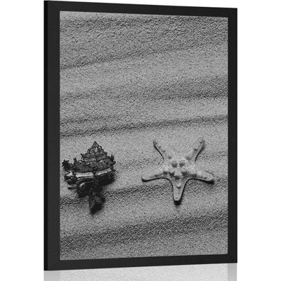Plakát mušle na písečné pláži v černobílém provedení - 40x60 silver