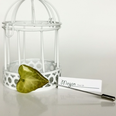 Meganflo Бръшлян брошка - игла