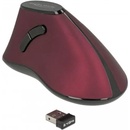 Image 1 of Delock Ergonomic wireless (12528)