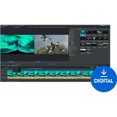 MAGIX Video Pro X 17 (Digitálny produkt)