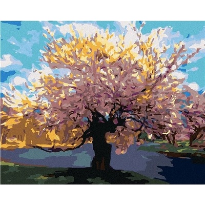 zuty Malování Podle Čísel Sakura U Potoka 80 x 100 Cm Plátno