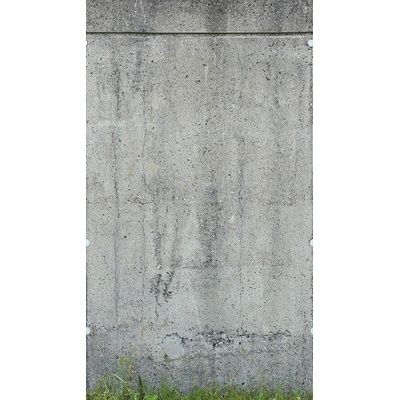 392551 Vliesový panel The Wall, rozmery 159 x 280 cm