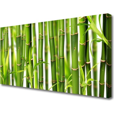 Obraz Canvas Bambusové výhonky listy bambus 100x50 cm