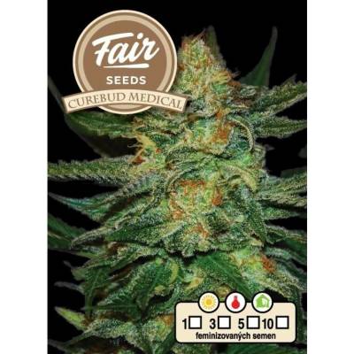 Fair Seeds Cure Bud Medical semena neobsahují THC 10 ks