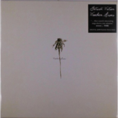 Wooden Arms - Patrick Watson LP