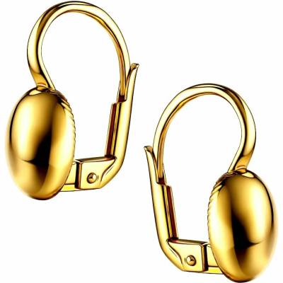 Zlaton Náušnice žluté zlato visací 1.7cm 3.15g 000220504180