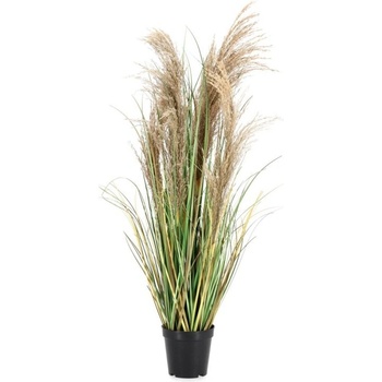 Bizzotto Растение Austorderia Pampas с ваза, височина 90 см (0173023)