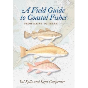 Field Guide to Coastal Fishes | Valerie A. Kells, Kent E. Carpenter (ISBN: 9780801898389)