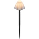 Image 1 of Rábalux Skadar 77007