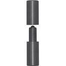 Domax ZTK 25 Záves k prizváraniu s guličkou 25x100 mm
