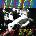 Gorilla Biscuits - Start Today (LP) (0098796001219)