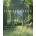 Highgrove | HRH The Prince Of Wales