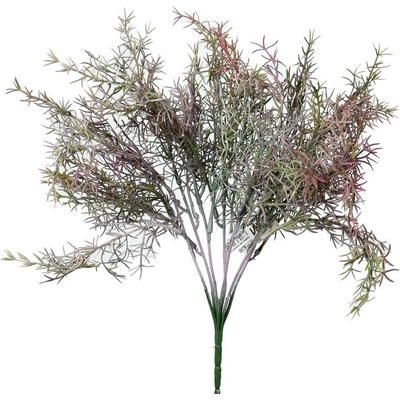 SUPER CENA! ZÁPICH ASPARAGUS FIALOVÝ 37CM