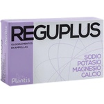 Artesania Agricola Reguplus | Electrolytes [20 x 5 мл]