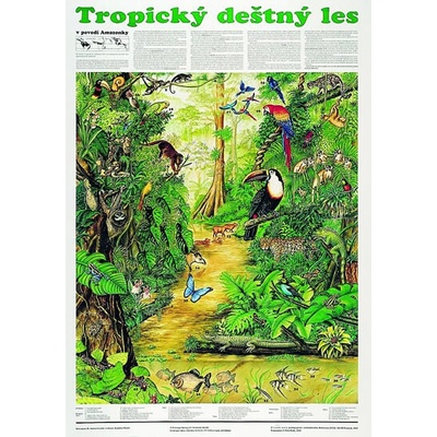 Plakát - Tropický deštný les – Hledejceny.cz