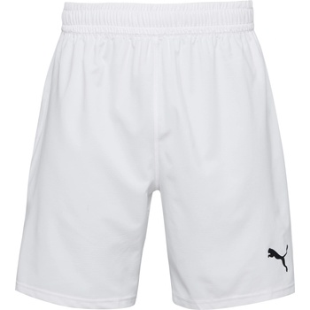 PUMA Teamfinal shorts l