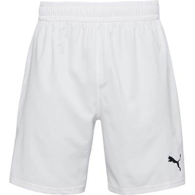 PUMA Teamfinal shorts l