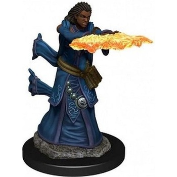 D&D Miniatures: Icons of the Realms Human Wizard Female