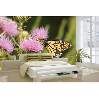 DIMEX ART Самозалепваща се флизелинова фототапета пеперуда монарх 375 x 250 см