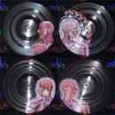 Hudba Tool - Lateralus LP