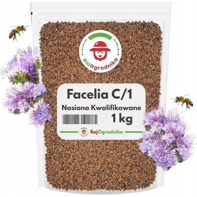 FACELIA MODRÁ OCEĽOVÁ ODRODA NA PLODINY C1 SEMENÁ 1 KG