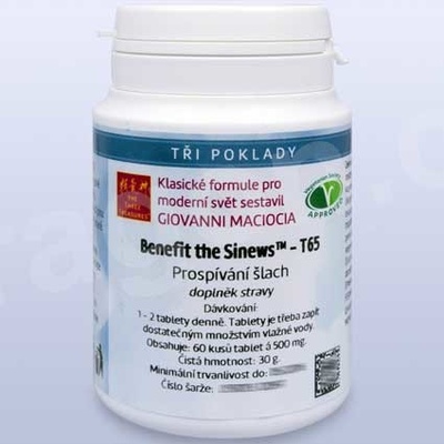 Giovanni Maciocia T65 Prospívání šlach 60 tabliet