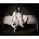 Billie Eilish - When We All Fall Asleep. . . (CD) (0602577427626)