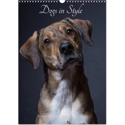 Calvendo Dogs in Style (Wall Calendar 2026 DIN A3 portrait), CALVENDO 12 Month Wall Calendar | Calvendo, Susanne Stark Sugarsweet - Photo
