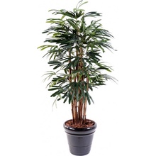 Umelá Rhapis Lady palma, 150cm