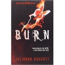 Burn - Julianna Baggott