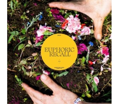 Euphoric Recall - Braids LP